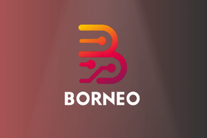 Borneo Schematic 6 Months 1PC New Activation