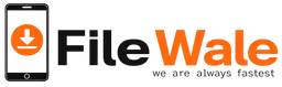 Filewale Gold Plan (Offer)
